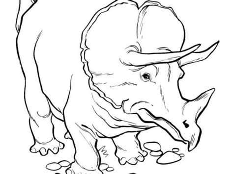 dinosaur coloring pages  tsgoscom