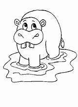 Hipopotamo Hippo Hippopotamus Dientes Flodhest Bonito Boca Abierta sketch template