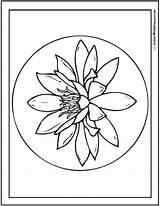 Lily Coloring Pages Water Pad Stargazer Circle Printables Pencil Color Getcolorings Template Printable Colorwithfuzzy sketch template