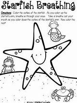 Breathing Starfish Counseling Cbt Exercises Practice Mindfulness Calming sketch template