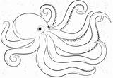 Octopus Coloring Pages Drawing Draw Cartoon Printable Outline Easy Template Sea Animals Kids Print Fish Drawings Octupus Step Supercoloring Prints sketch template