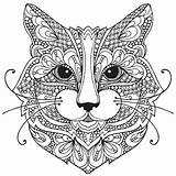 Cat Face Coloring Pages Getcolorings Color sketch template