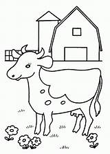 Cow Coloring Pages Baby Kids Printable sketch template