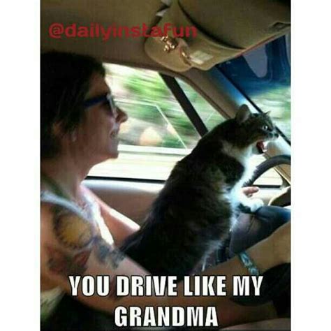 drive   grandma humor silly hilarious funn flickr