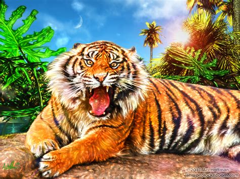 land   tiger art work  arihoff  deviantart