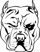 Pitbull Dogs Colorir Cachorro Chocodole Coloriage sketch template