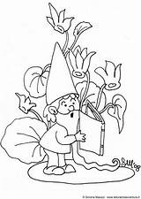 Coloring Pages Gnome Reading Library Clipart sketch template
