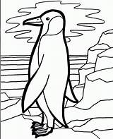Coloring Penguin Pages Emperor Library Clipart sketch template