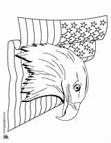 Flag Coloring Pages Eagle Bald American 4th Print July Color Z31 States United Printable Adult Online Hellokids Kids Trying Animals sketch template