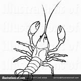 Crawfish Coloring Clipart Crawdad Illustration Pages Crayfish Perera Lal Royalty Getdrawings Rf Boil Getcolorings Color Printable sketch template