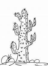 Saguaro sketch template