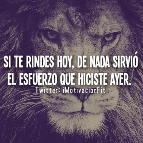 motivacion fitness  twitter motivacion frases de