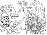 Arrecifes Arrecife Rafa Koralowa Reef Corales Corail Kolorowanki Coloriages Imprimir Coloriage Dessin Dzieci Reefs Peces Colorier Coloringpagesfortoddlers sketch template