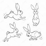 Conejos Fanny Conigli Rabbits Illustrazione Coccinella Isolato Vettore sketch template