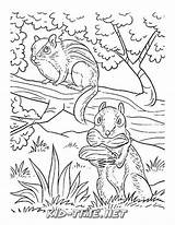 Chipmunk Coloring Pages Animals Printables Kids Book sketch template