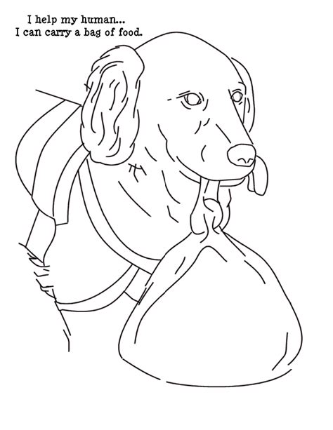 service dog assistance dog service dogs dog coloring page
