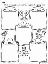 Senses Five Worksheets Spring Worksheet Drawing Preschool Kindergarten Body Kids Science Time Printable Myteachingstation Parts Taste Smell Coloring Activities Touch sketch template