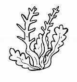 Seaweed Algae Algas Marinas Dibujos Reef Entitlementtrap Weed Clipartmag Ot7 Ck Clases Gcssi 1300 1390 Educativeprintable sketch template