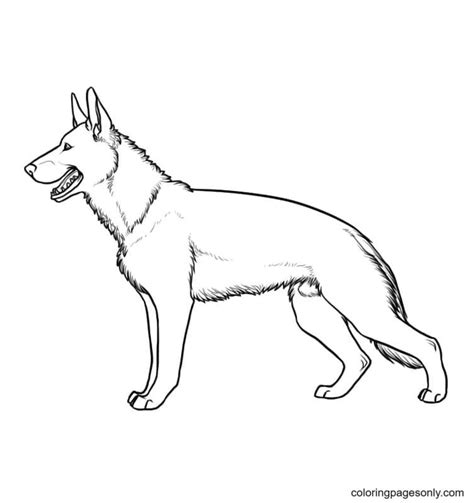 german shepherd dogs coloring pages  printable coloring pages
