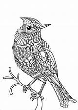 Mandala Coloring Animal Pages Bird Coloringbay sketch template