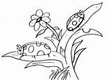 Mariquitas Ladybug Bug Ladybugs Comparte sketch template