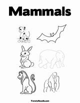 Mammals Coloring sketch template