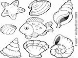 Conch Shell Coloring Getdrawings Getcolorings sketch template