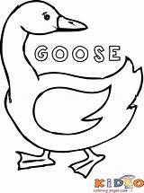 Geese Kidocoloringpages Coloringhome sketch template