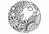 Colorare Mandala Disegno Adulti Disegnare Vari Floreale Lacocinadenova Pagine Mandalas Leggimiancora Altervista sketch template