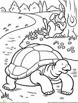 Tortoise Hare Coloring Colouring La Tortuga Pages Color Fables Clipart Book Dibujos Para Preschool Drawing Activities Tales Liebre Kids Worksheet sketch template