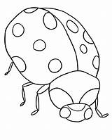 Coloring Ladybug Pages Kids Printable Bug sketch template