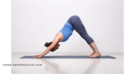 beginner modified yoga poses full body workout blog
