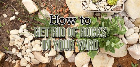 rid  rocks   yard budget dumpster