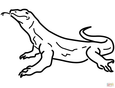 dibujo  colorear reptiles imagui
