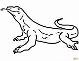 Reptiles Komodo sketch template