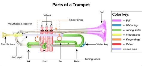 trumpet buying guide   choose  trumpet