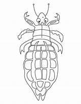 Lice Louse sketch template