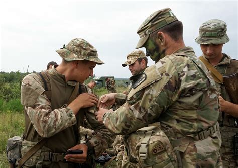 guard units  calif  tenn join  ukraine training national