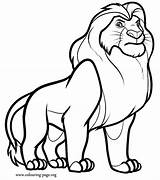 Coloring Lion Cute Clipart Library Pages Mufasa sketch template