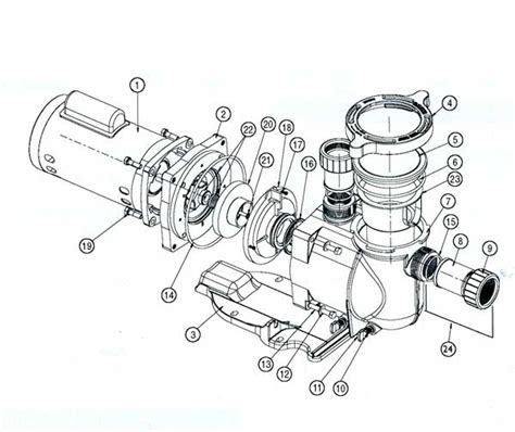 pentair superflo pump parts diagram