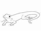 Gecko Lizard Geckos Zum Masken Bestcoloringpagesforkids Reptiles sketch template