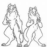 Base Anthro Collie Bases Favourites Add sketch template