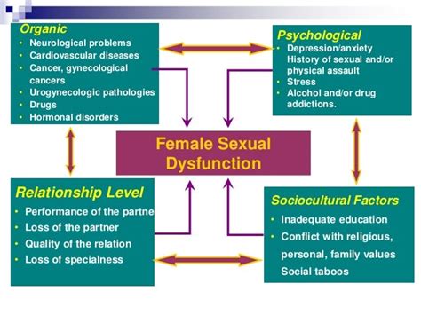 Femal Sexuality And Female Sexual Dysfunction Koc Univ