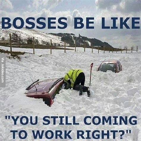 Funny Boss Memes The Best Boss Memes Online