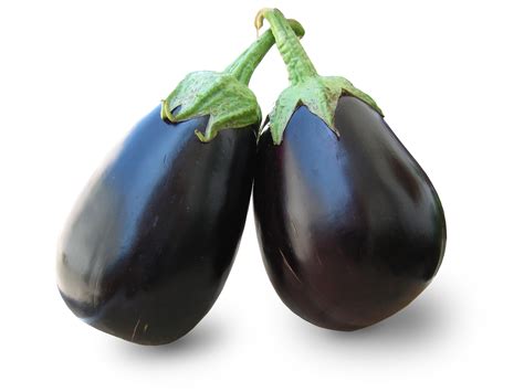 eggplant mysahana
