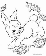 Coloring Colorear Coelho Bunnies Conejos Bunny Conejo Saltando Tiernos Tudodesenhos sketch template