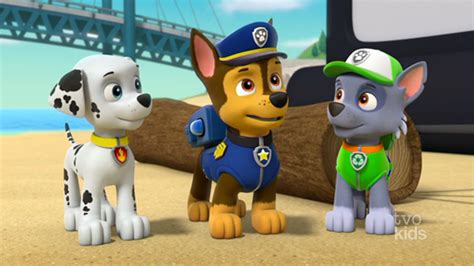 Image Paw Patrol 314b Scene 55 Marshall Chase Rocky Png