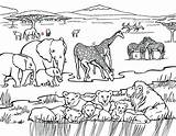 Coloring Grassland Safari Pages Ecosystem African Drawing Grasslands Color Afrikaans Printable Getcolorings Print Kids Getdrawings Open Savanna Search Colorings sketch template