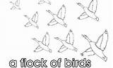 Flock Birds Coloring 59kb 271px sketch template