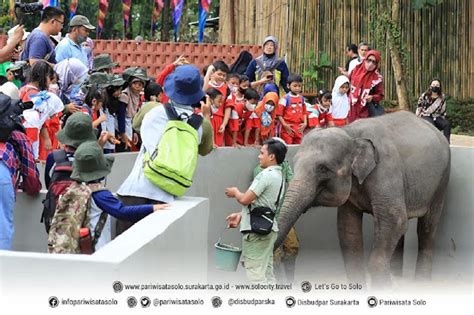 liburan seru  solo safari